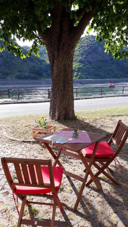 Pension / Ferienwohnungen Scheid Kestert Ngoại thất bức ảnh